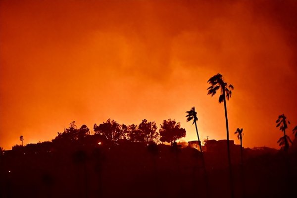 世界杯体育官方网站 野火烟雾正逆转好意思国空气改善! 臭氧浓度回涨, 每年致数百东说念主过短命