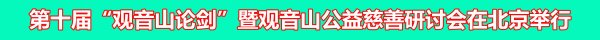 世界杯(中国) 第十届“不雅音山论剑”暨不雅音猴子益慈善研讨会在北京举行