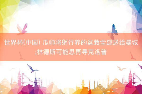 世界杯(中国) 瓜帅将躬行养的盆栽全部送给曼城;林德斯可能思再寻克洛普
