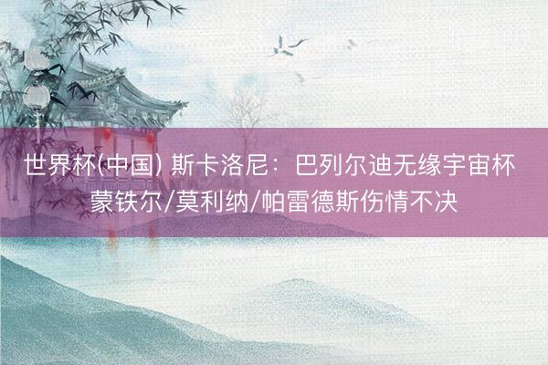 世界杯(中国) 斯卡洛尼：巴列尔迪无缘宇宙杯 蒙铁尔/莫利纳/帕雷德斯伤情不决