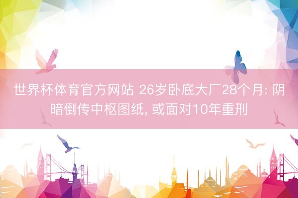 世界杯体育官方网站 26岁卧底大厂28个月: 阴暗倒传中枢图纸, 或面对10年重刑