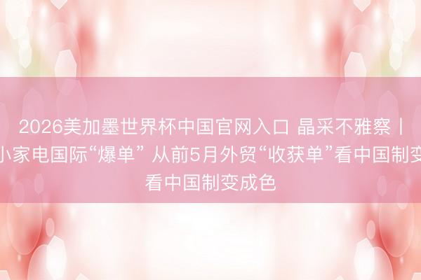 2026美加墨世界杯中国官网入口 晶采不雅察丨国货小家电国际“爆单” 从前5月外贸“收获单”看中国制变成色