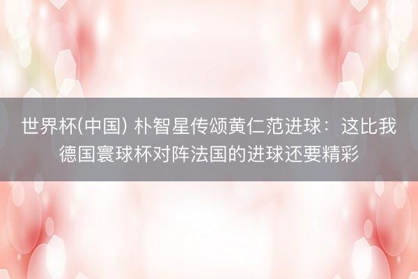 世界杯(中国) 朴智星传颂黄仁范进球：这比我德国寰球杯对阵法国的进球还要精彩