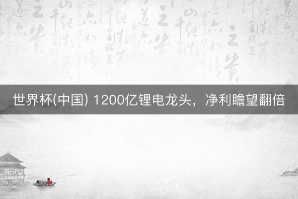 世界杯(中国) 1200亿锂电龙头，净利瞻望翻倍