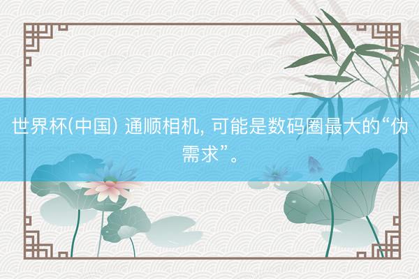 世界杯(中国) 通顺相机， 可能是数码圈最大的“伪需求”。