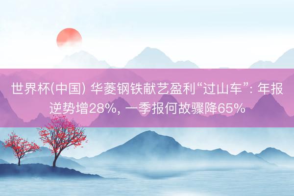 世界杯(中国) 华菱钢铁献艺盈利“过山车”: 年报逆势增28%， 一季报何故骤降65%