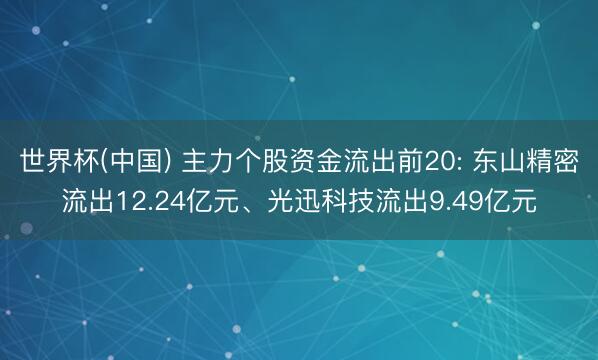 世界杯(中国) 主力个股资金流出前20: 东山精密流出12.24亿元、光迅科技流出9.49亿元