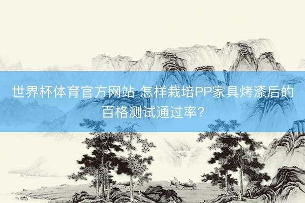 世界杯体育官方网站 怎样栽培PP家具烤漆后的百格测试通过率?