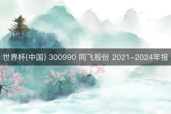 世界杯(中国) 300990 同飞股份 2021-2024年报