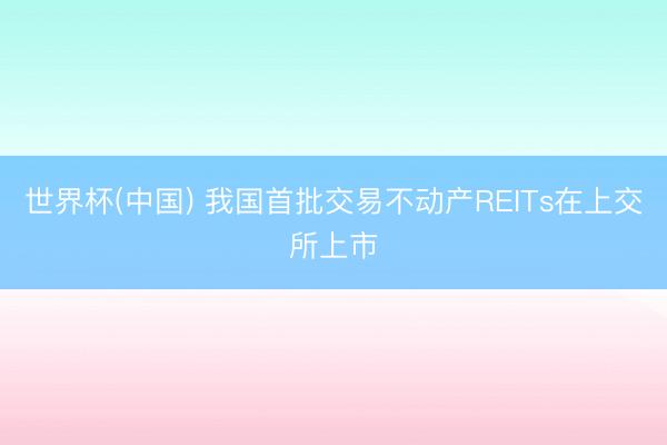 世界杯(中国) 我国首批交易不动产REITs在上交所上市